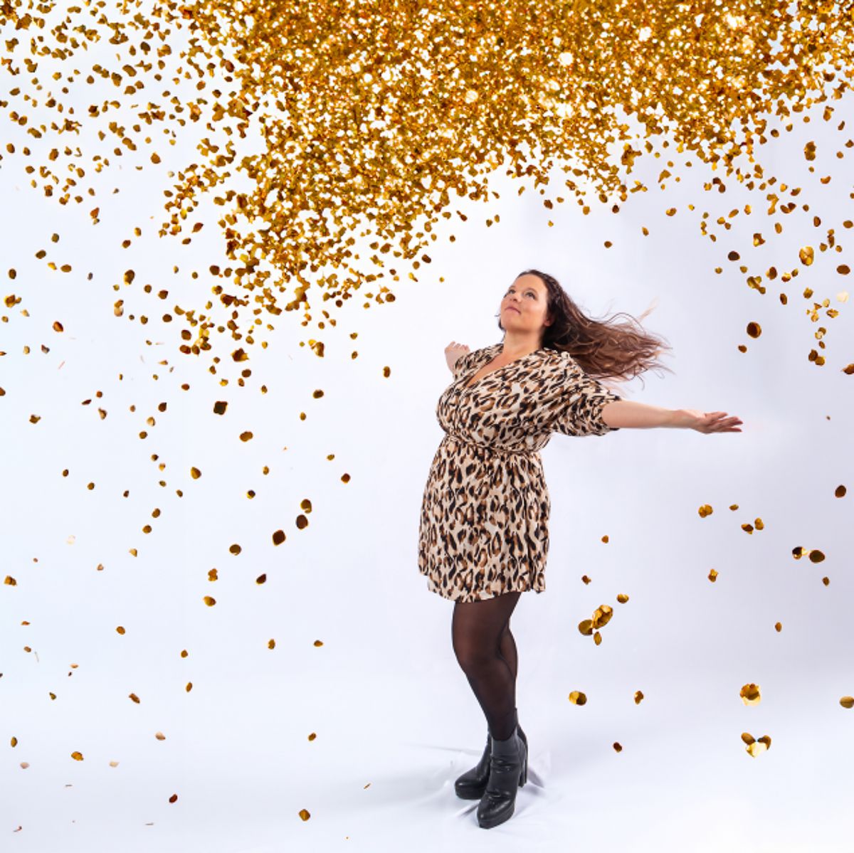 Reconstruction - Anso